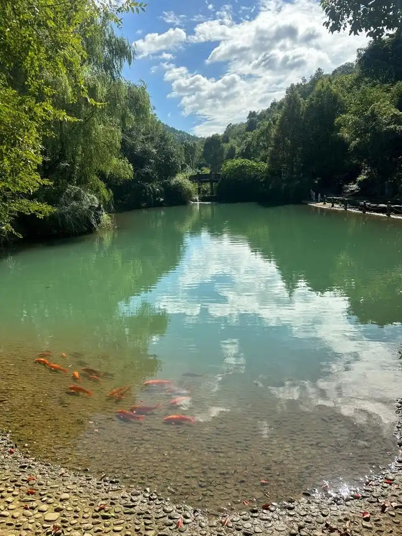 常山三衢石林 每周一山 山很大,全部爬完要两个多小时,下山半个小时就