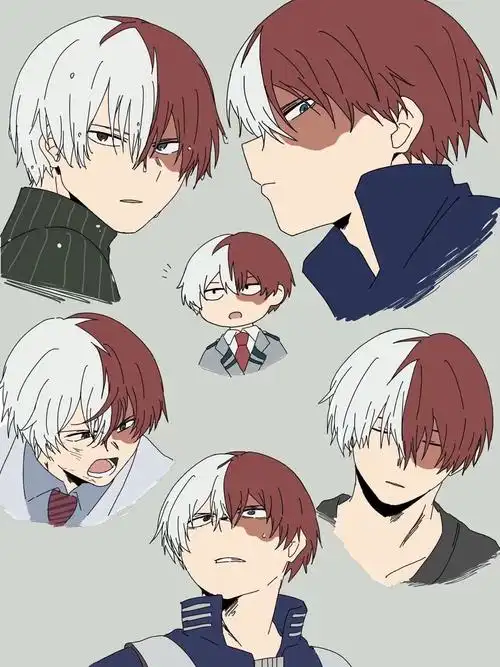 我的英雄学院 轰焦冻