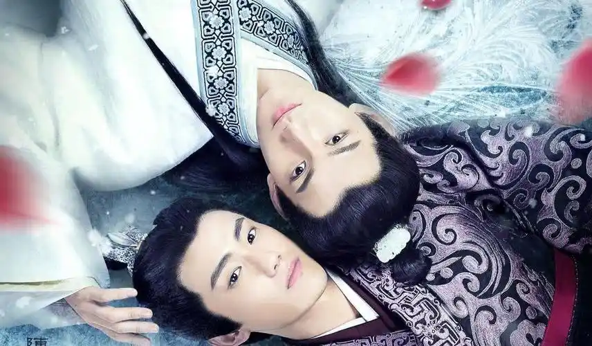 公认的最好看的4部双男主电视剧,你觉得呢?