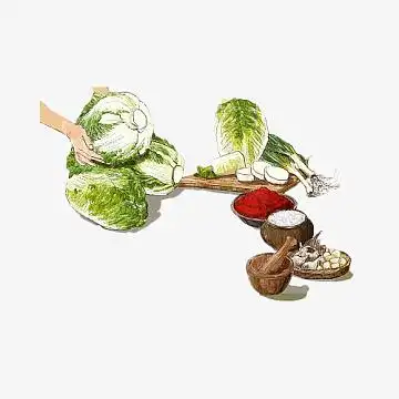 萝卜png卡通手绘腌制辣白菜png卡通手绘洋葱aipng矢量图翠绿的色的大
