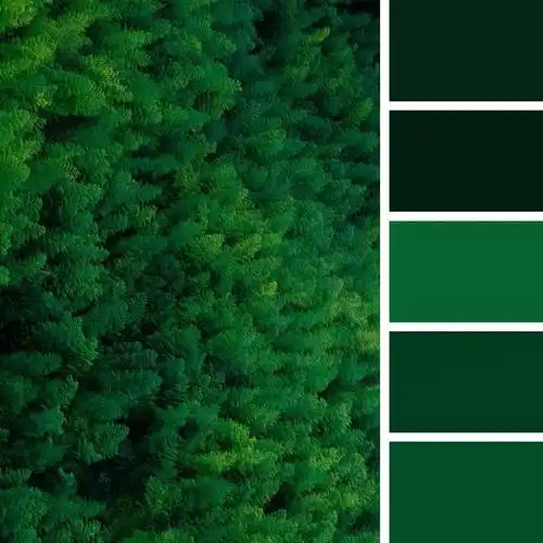 ins:yosigo_yosigo加深视觉的纵深感黑色搭配偏墨绿ins: 濱田英明