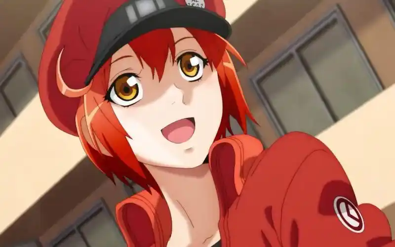 【2021年1月/花泽香菜】工作细胞 第二季 红细胞 角色pv【mce汉化组】