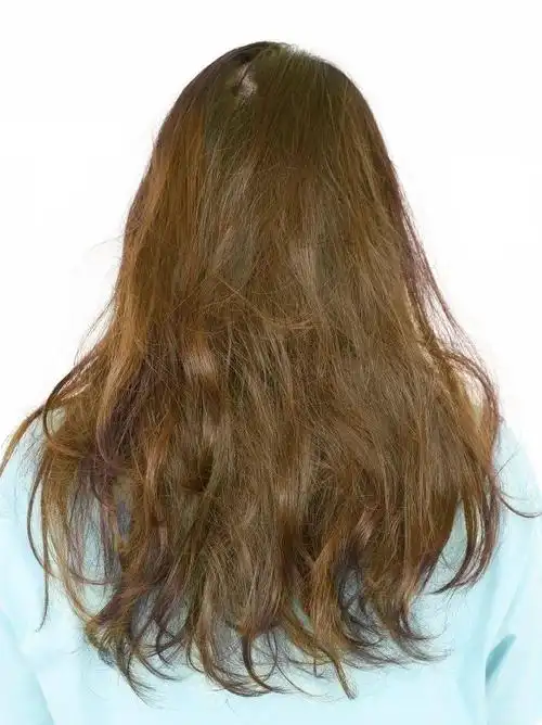 45桃木褐棕色,看参考图上的效果,感觉它非常接近我心中想要的发色