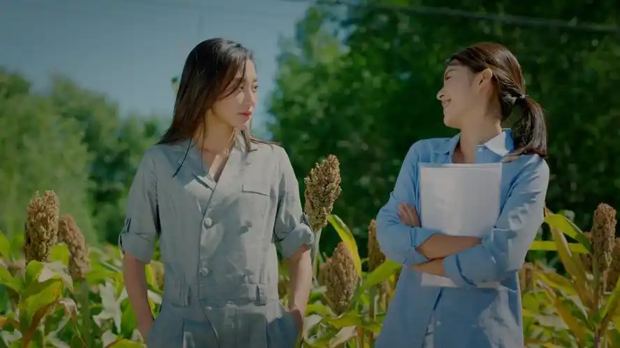 农村剧乡亲乡爱播出范伟灵魂演绎独挑大梁和赵本山差距大