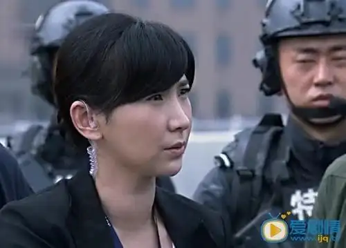 孙岚在特警力量的图片