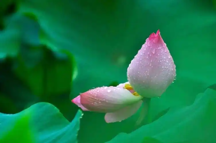 静心真正重要的不是风景而是看风景的心情