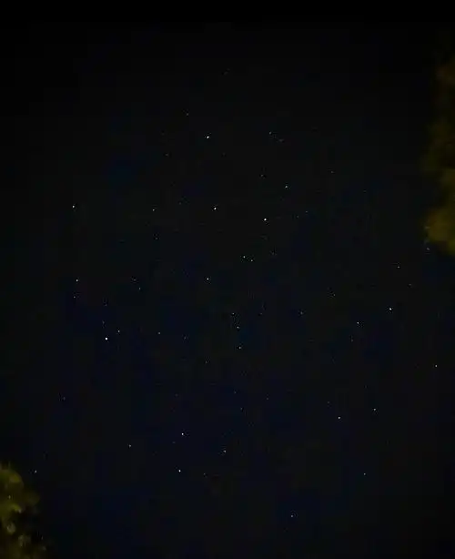 实拍城市里的星星点开有惊喜07