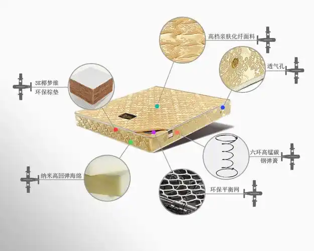 231#3e椰梦维/天然椰棕软硬两用可拆洗席梦思弹簧床垫厂家批发