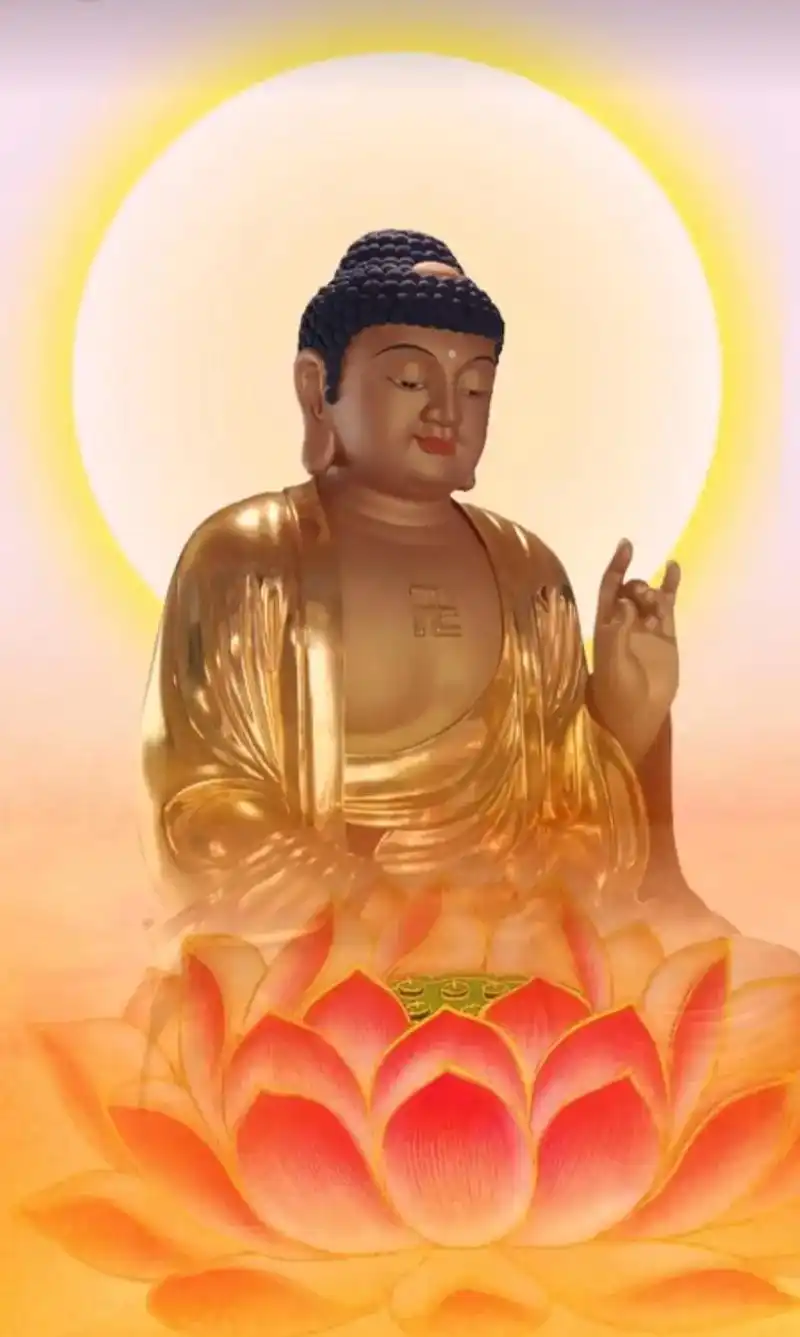 南无阿弥陀佛050505.祈愿国泰民安,疫情早日离开人间,人 - 抖音