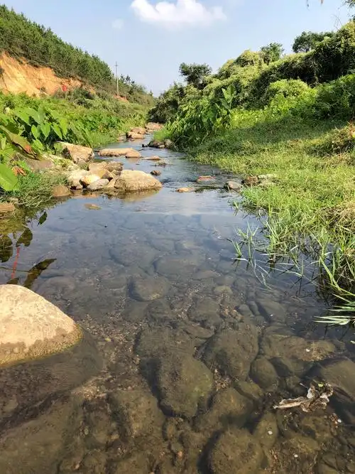 农村美丽的山水田园风光