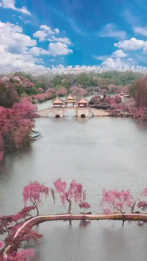 你一句春不晚我就到了真江南烟雨江南国风古韵古风烟花三月下扬州