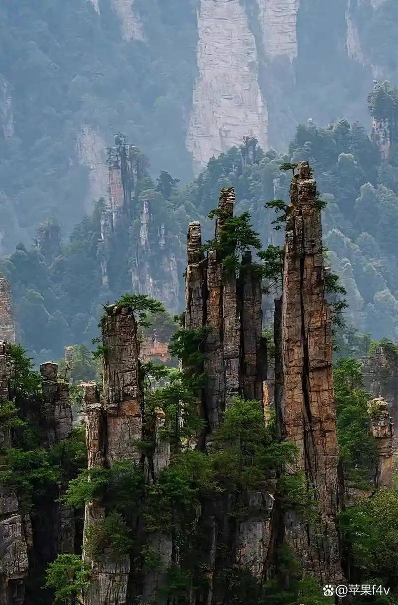 张家界石林是中国甚至是世界上最著名的喀斯特地貌景观之一.