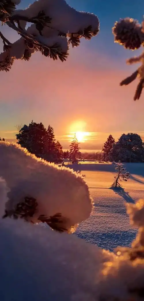 说话要轻声细语性格要沉稳大气