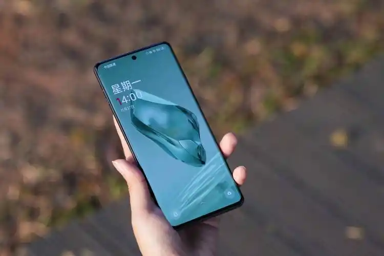 国产屏已成旗舰标配?_屏幕_市场_手机