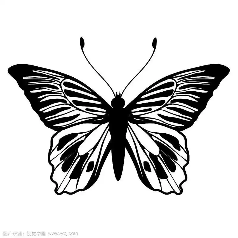 矢量插图详细的蝴蝶剪影.