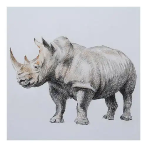 陈晓青《萌小犀》素描