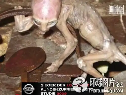 真真假假"外星人"事件