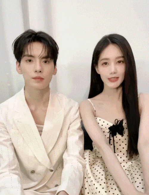 杨洋|罗晋|陆毅|毕雯珺|李一桐_网易订阅