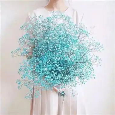 女生手捧满天星头像唯美漂亮