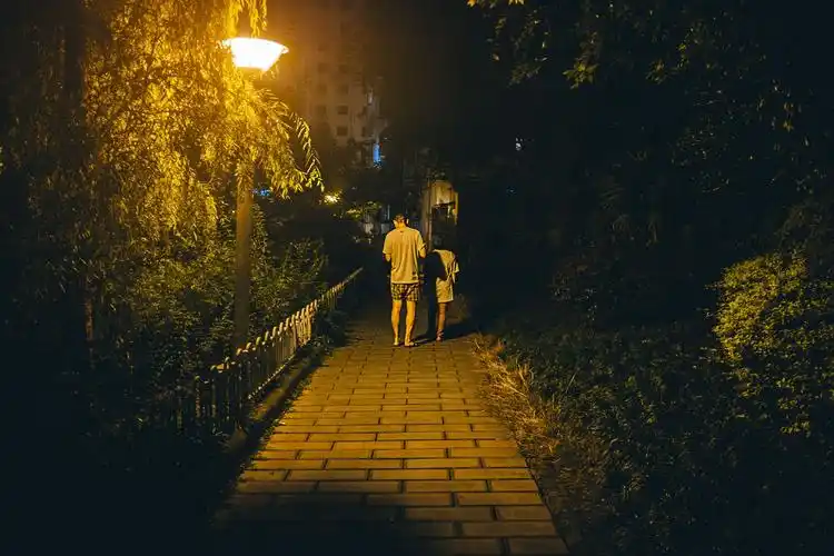 夜间散步的情侣 —————————— 2014.7月 成都 晚安.