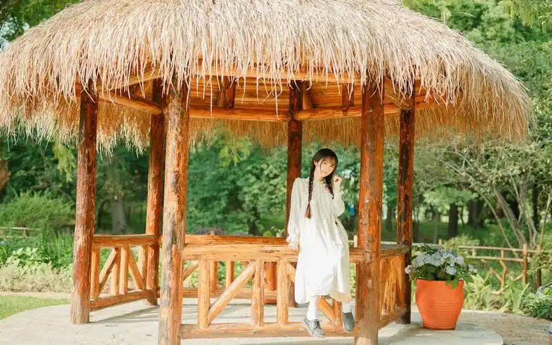 双马尾文艺女生,高清壁纸图片,可爱美女-回车桌面