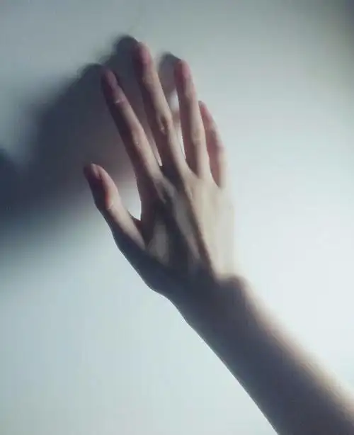 手好看的男生很加分(我来啦~~ 好久不见~( ω ) )