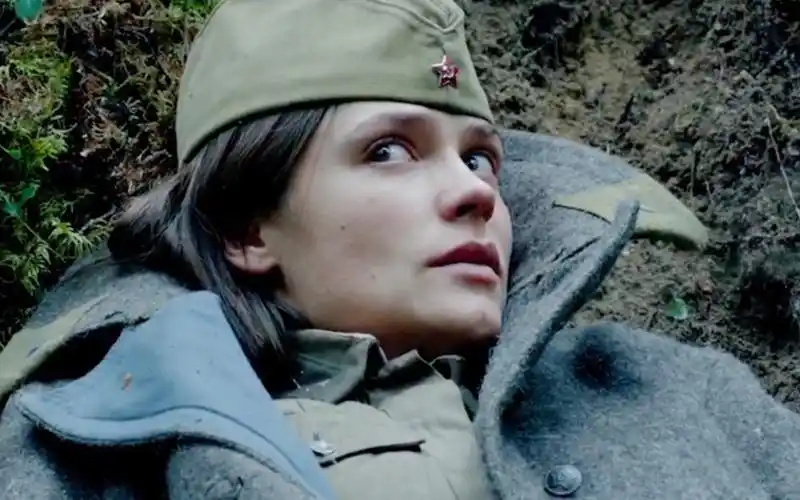 《这里的黎明静悄悄》(一)五朵金花血洒疆场,用生命捍卫国土