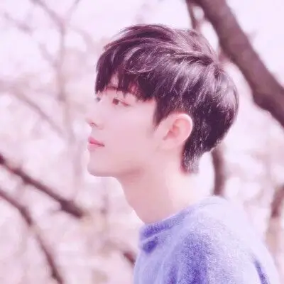 肖战头像.拿图扣1.二传标明dt赵嘉懿