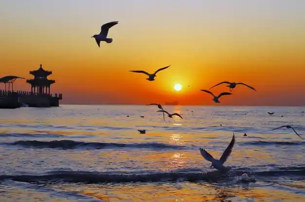 浴场|红日|清晨|朝阳|海浪|自然风光_网易订阅