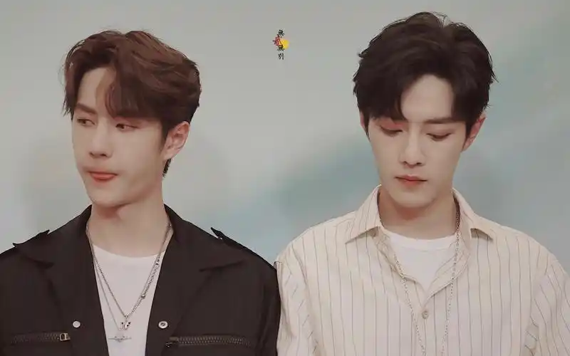 博君一肖真相是假