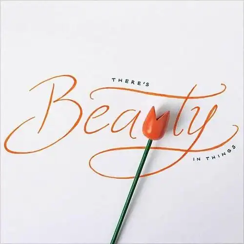 表示美丽的英文有beautiful,comeliness ,pretty,good-looking