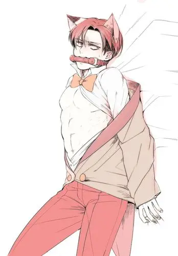 我淦,这个猫利我太爱了