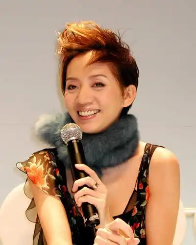 梅艳芳一一寂寞女人花