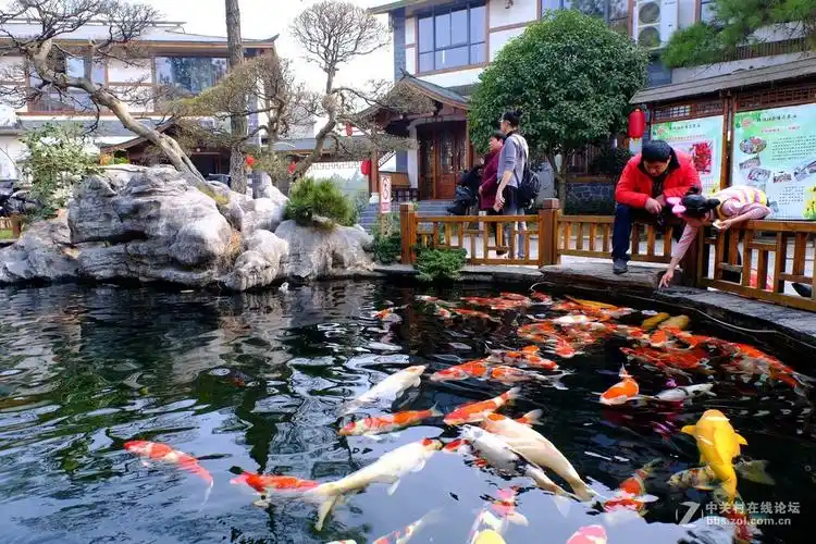 长沙锦绣江南-中关村在线摄影论坛