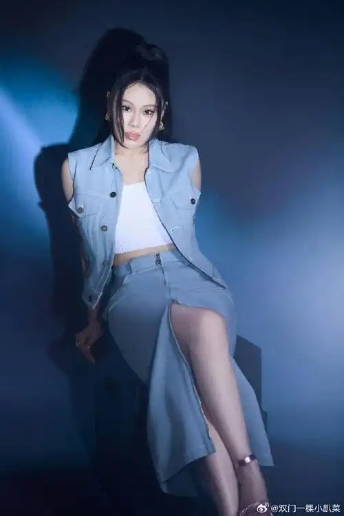 央视喊话袁娅维支援歌手