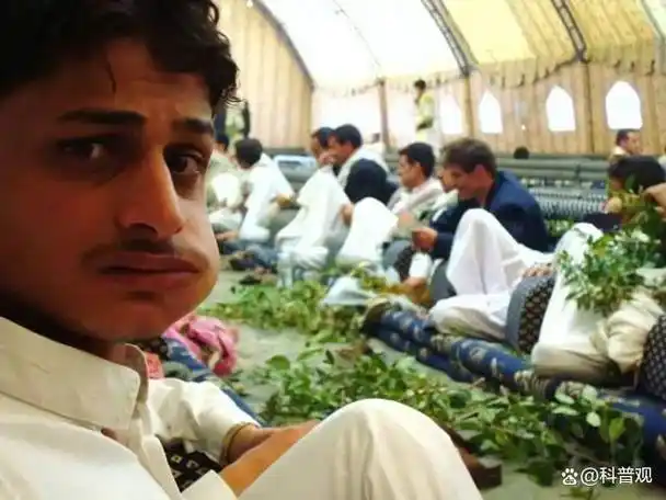 一棵草毁掉一个国家也门人无法抗拒的恰特草到底有什么来头