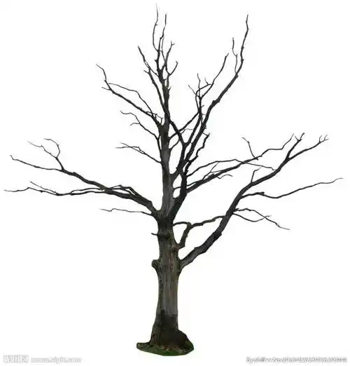 大树树干画梅花树干简笔画大树树干树枝简笔画一棵枯树简笔画步骤漂亮