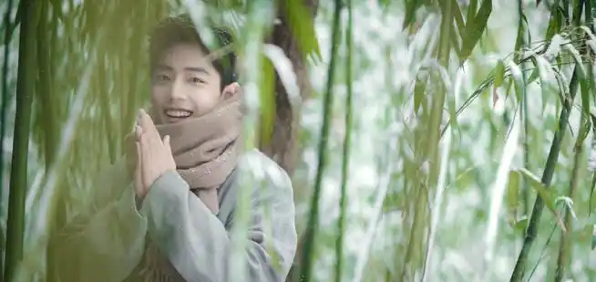 肖战冬至竹林大片