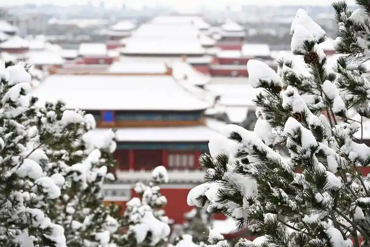 请查收新鲜出炉的帝都雪景图 | 古迹巡游_画面_故宫_北京