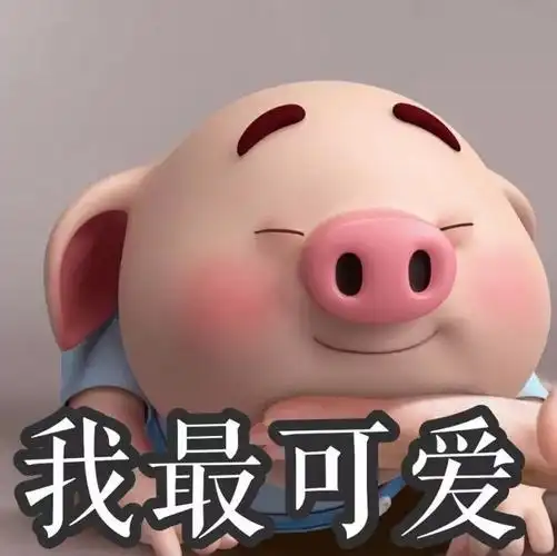 2019专用的猪猪头像你喜欢吗
