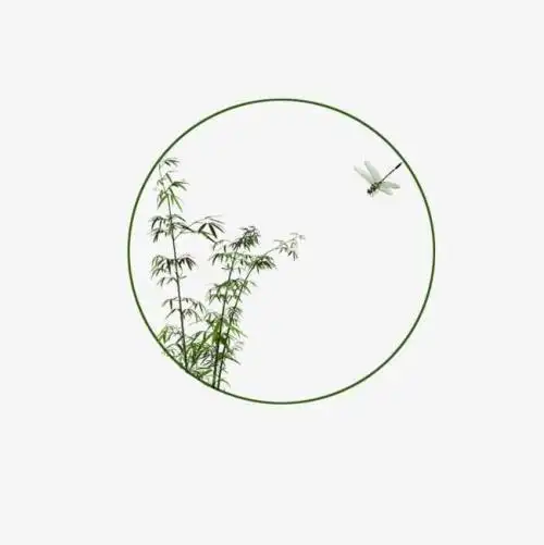 唯美头像竹子头像唯美