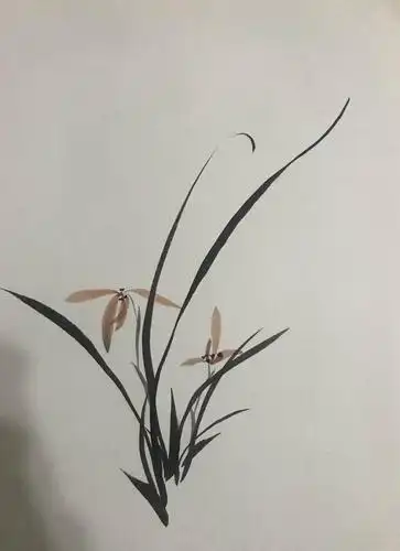 国画思考基础班三期 第三阶段(兰花)学生作业