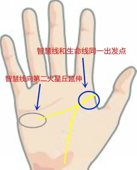 11种人容易短命的手相