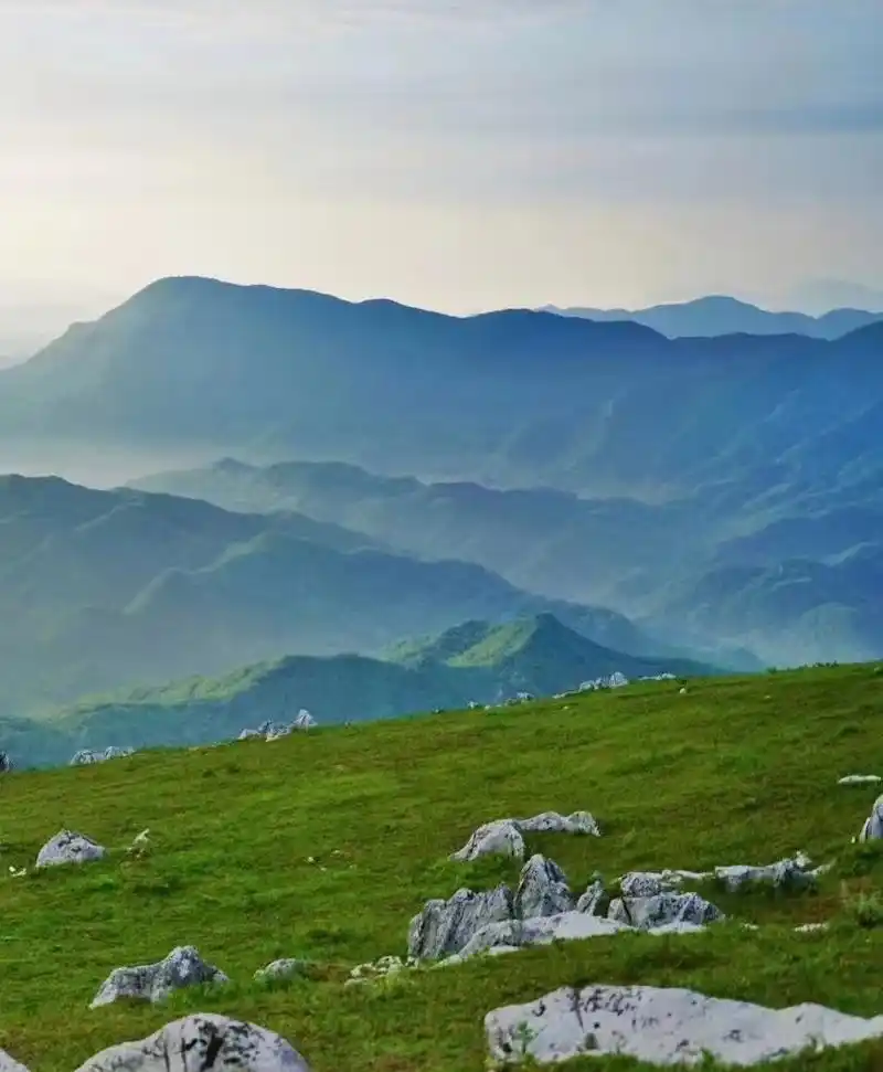 秦岭高山草甸的美丽风景吸引着无数的游客前来观赏