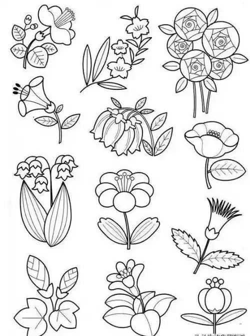 【简笔画】手帐素材,植物花卉临摹收藏_素材_植物_花卉
