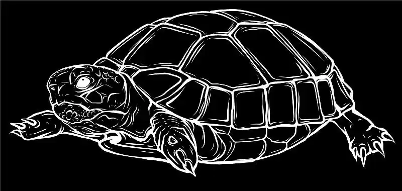剪影海龟图标卡通图标图片