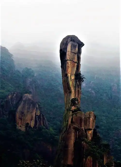 最美"中国五大山峰成林奇观"