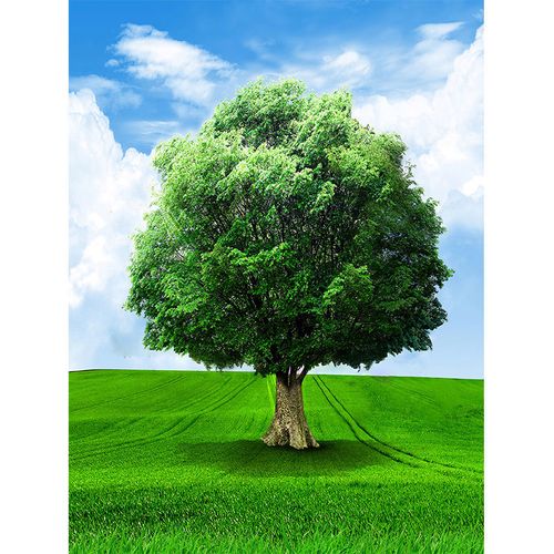 一棵大树装饰画蓝天白云绿色树木草地自然风景贴画招财现代装饰画
