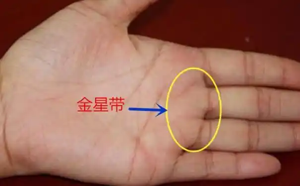 金星带手相图解有没有当老板的命一看就懂