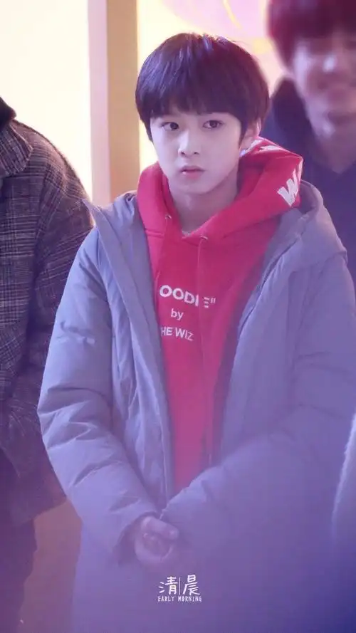 全世界最可爱的小狼崽炸4刘耀文来啦幼崽萌图大放送